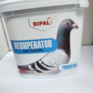 Recuperator Bipal 500gr, gran recuperador con proteínas, vitaminas, minerales y aminoácidos