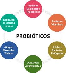 Prebióticos y Probióticos